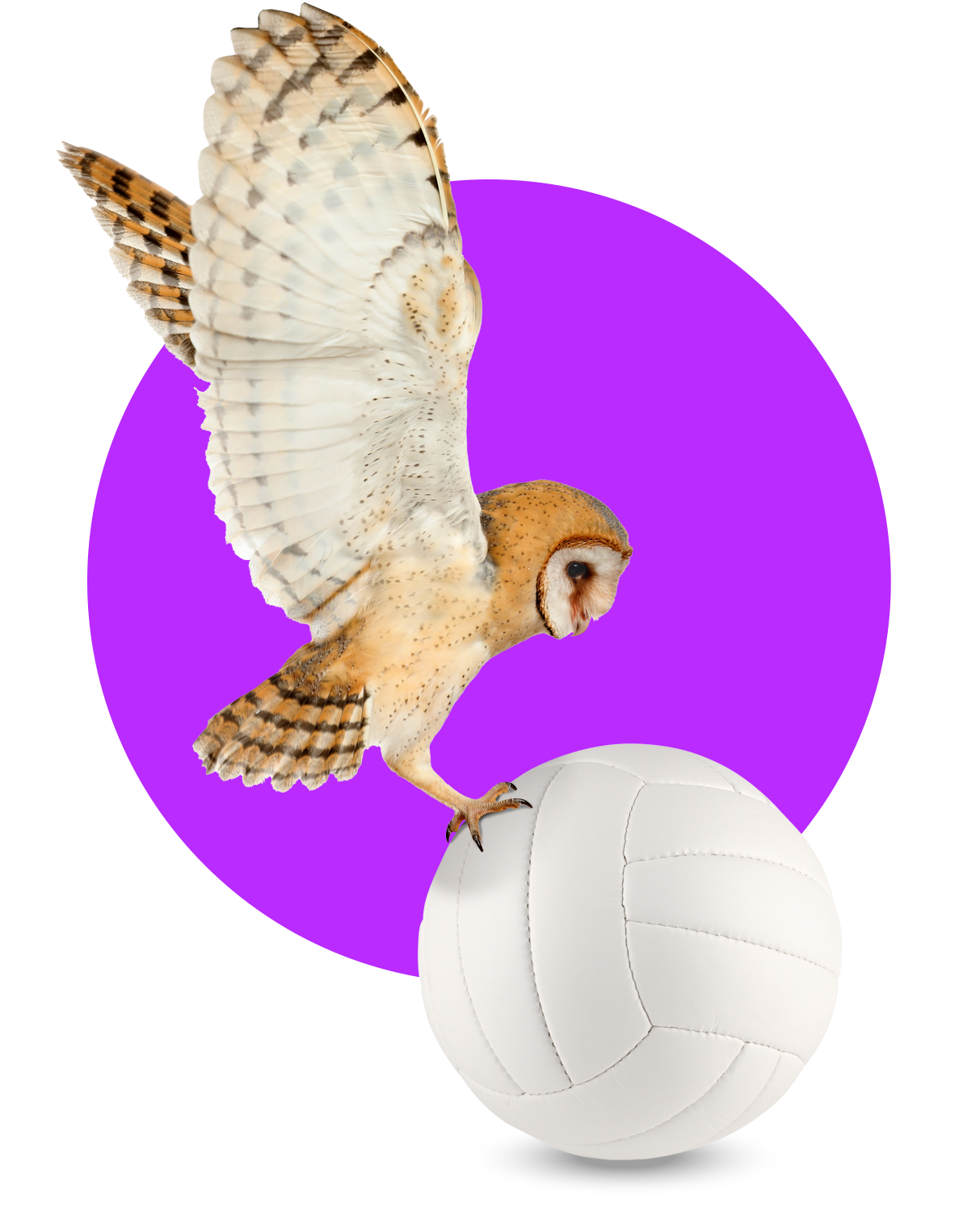 Sportsbook API seamless integration with Uplatform